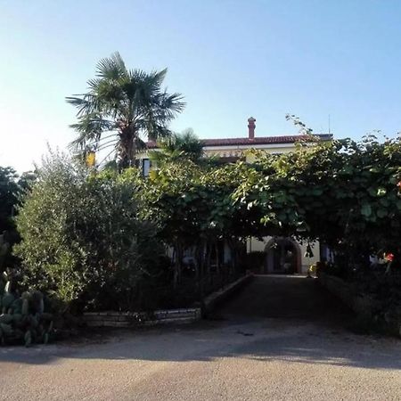 Apartmán App Carla Novigrad Istria Exteriér fotografie