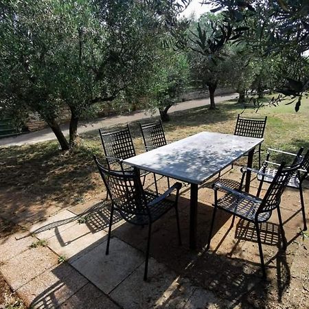 Apartmán App Carla Novigrad Istria Exteriér fotografie