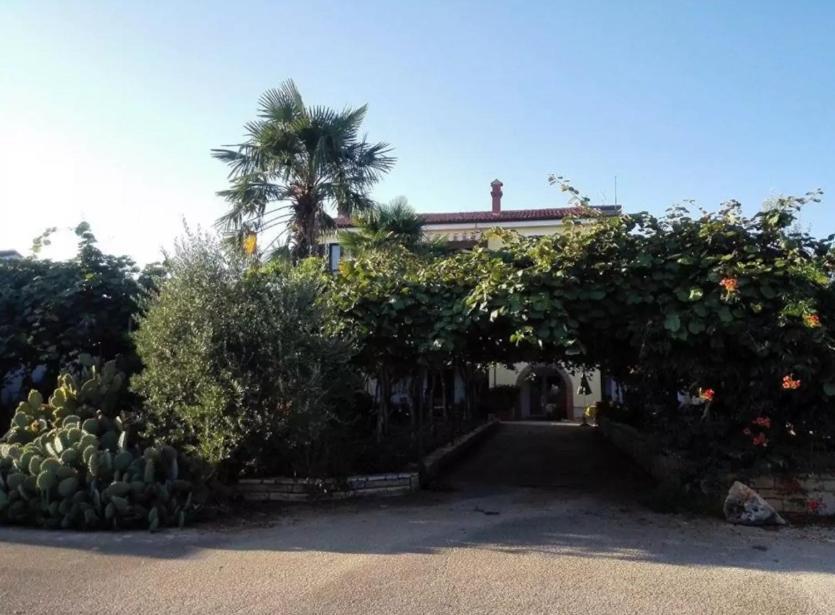 Apartmán App Carla Novigrad Istria Exteriér fotografie