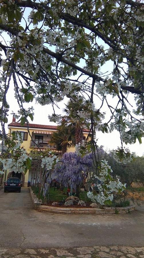 Apartmán App Carla Novigrad Istria Exteriér fotografie