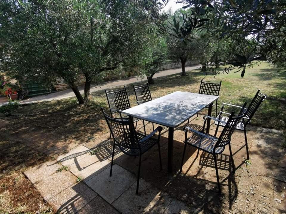 Apartmán App Carla Novigrad Istria Exteriér fotografie