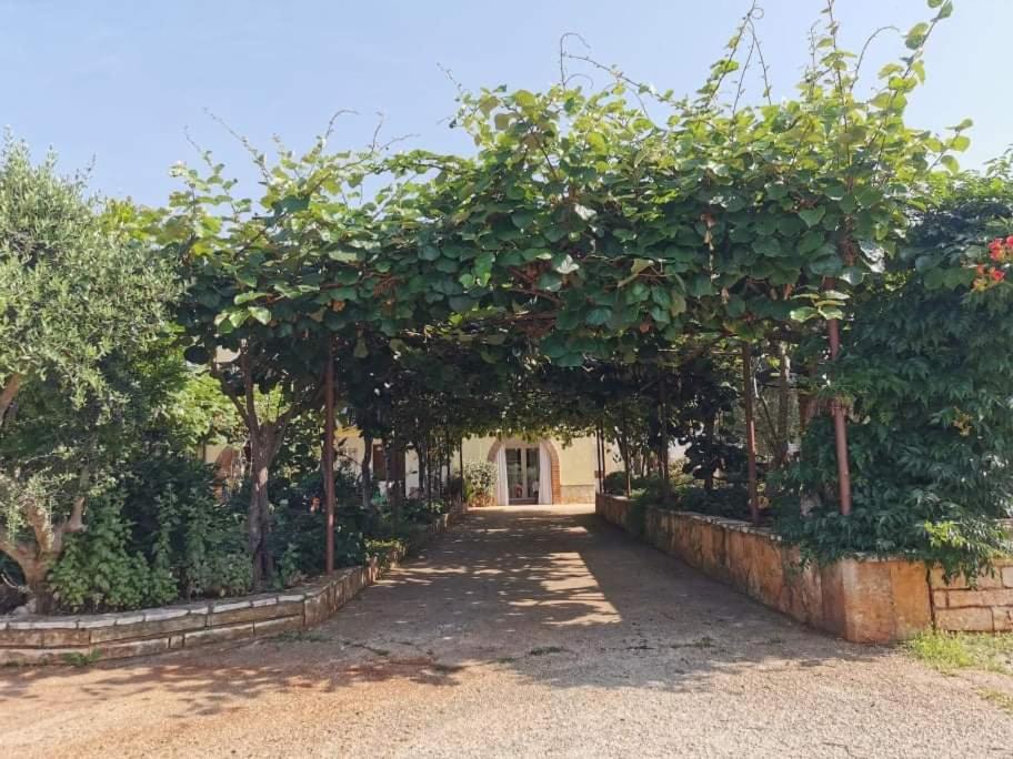 Apartmán App Carla Novigrad Istria Exteriér fotografie