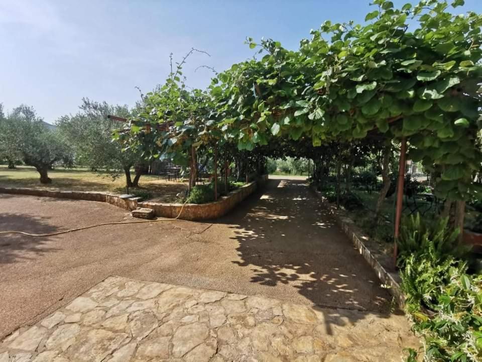 Apartmán App Carla Novigrad Istria Exteriér fotografie
